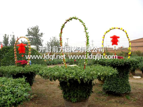 菊花造型之提籃